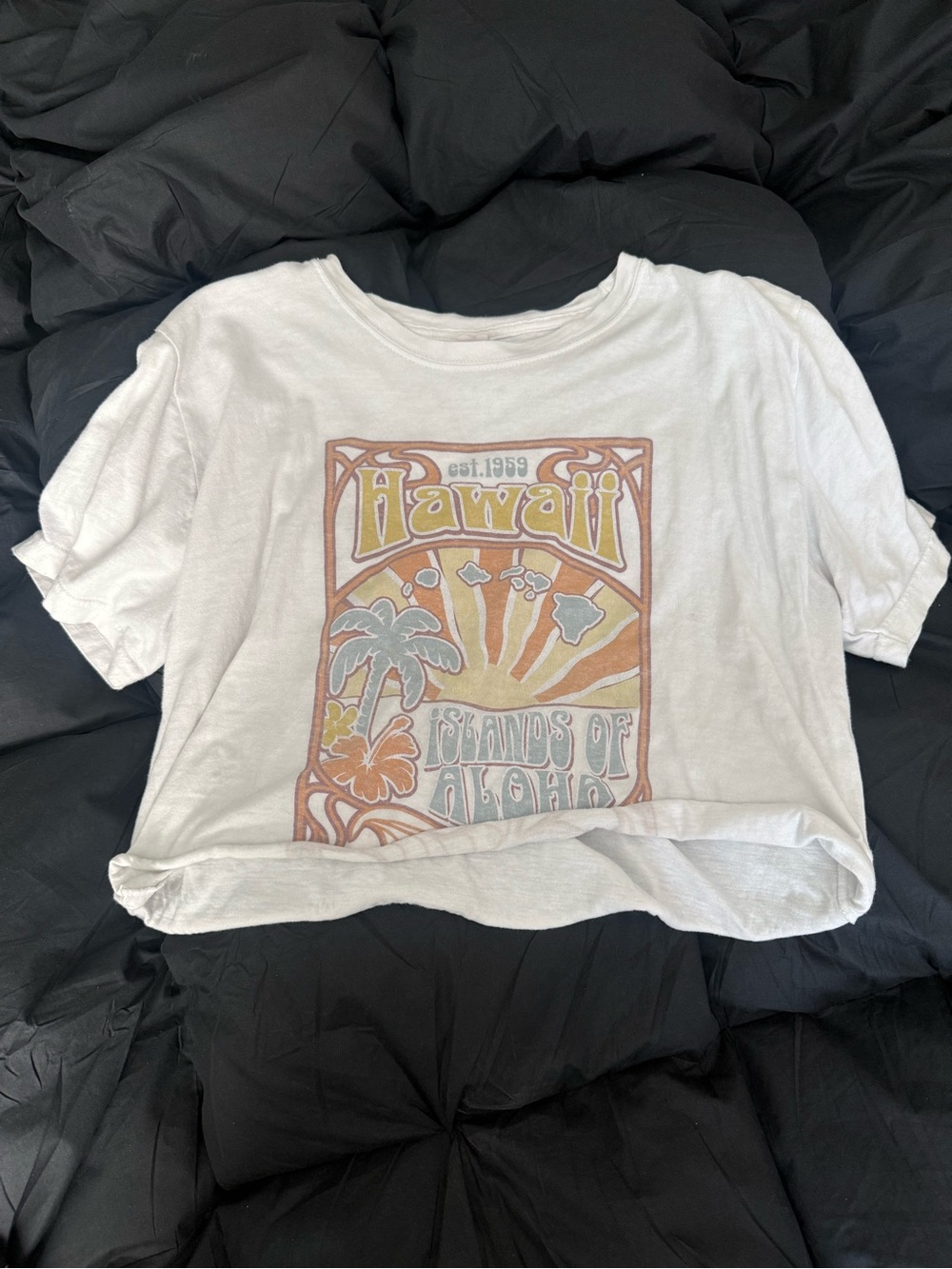 Hawaii T Shirt
